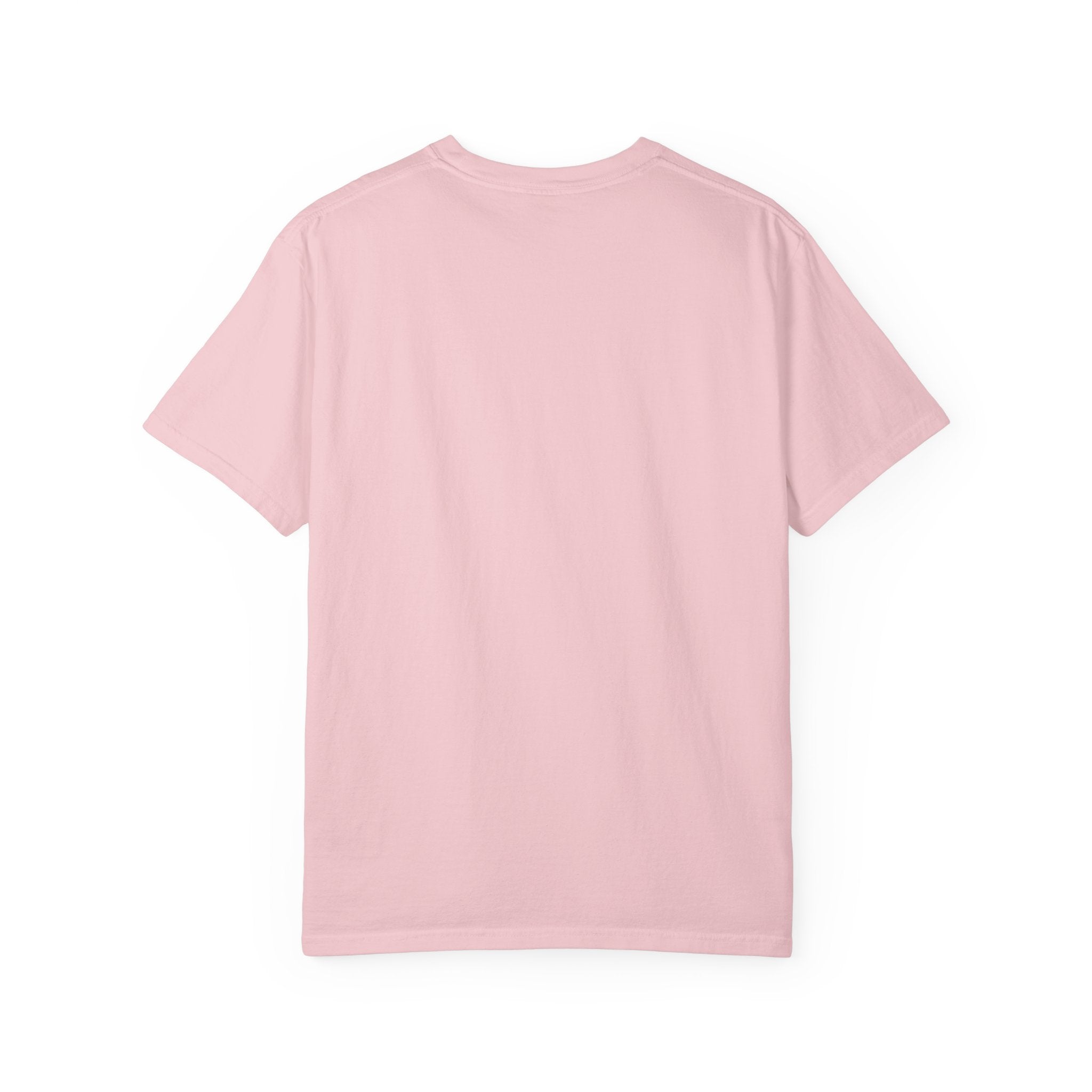 Kitchen Line Pickleball Tee