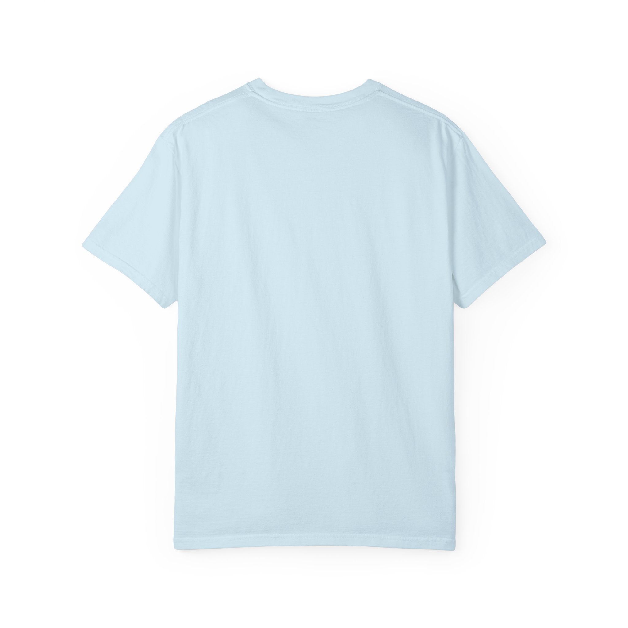 Kitchen Line Pickleball Tee